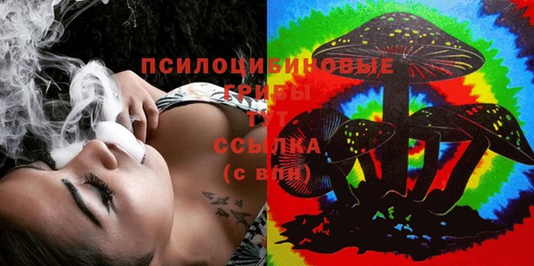 ГАЛЛЮЦИНОГЕННЫЕ ГРИБЫ Мегион