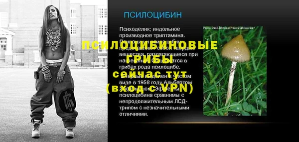 ГАЛЛЮЦИНОГЕННЫЕ ГРИБЫ Мегион