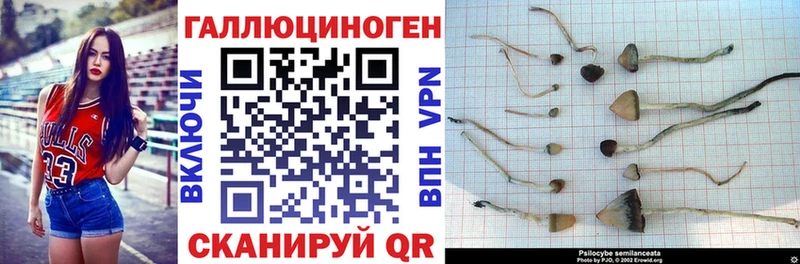 Галлюциногенные грибы прущие грибы  ОМГ ОМГ tor  Купино 